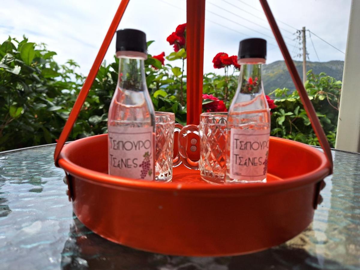 Guest House Tsanes Pinakokhorion Ngoại thất bức ảnh